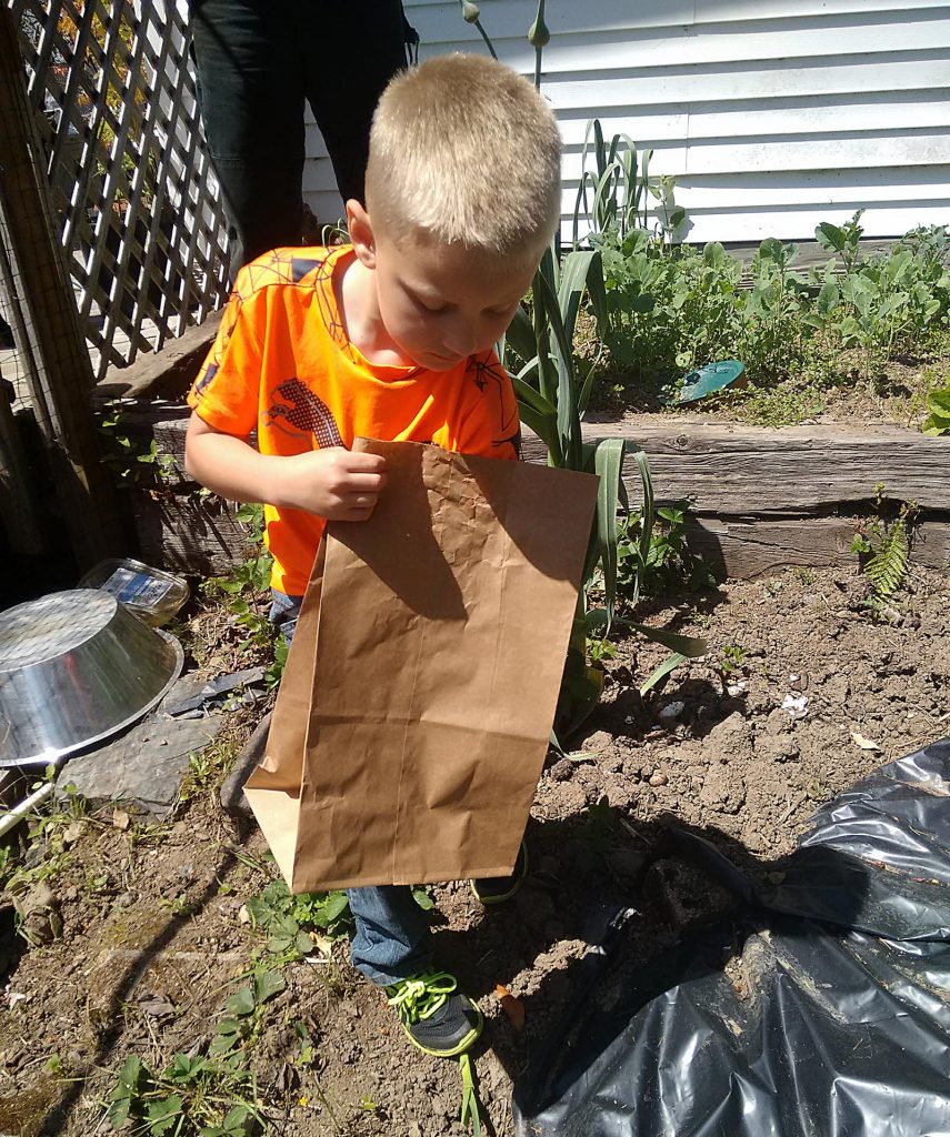 Brantley releasing lizards in the garden
