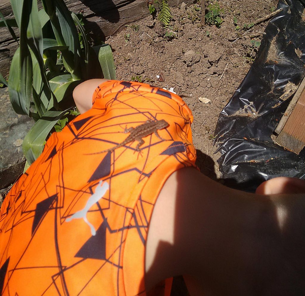 Lizard on Brantley's shirt