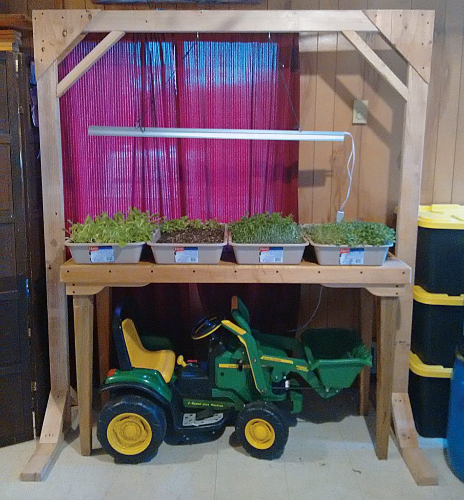 microgreen growing station