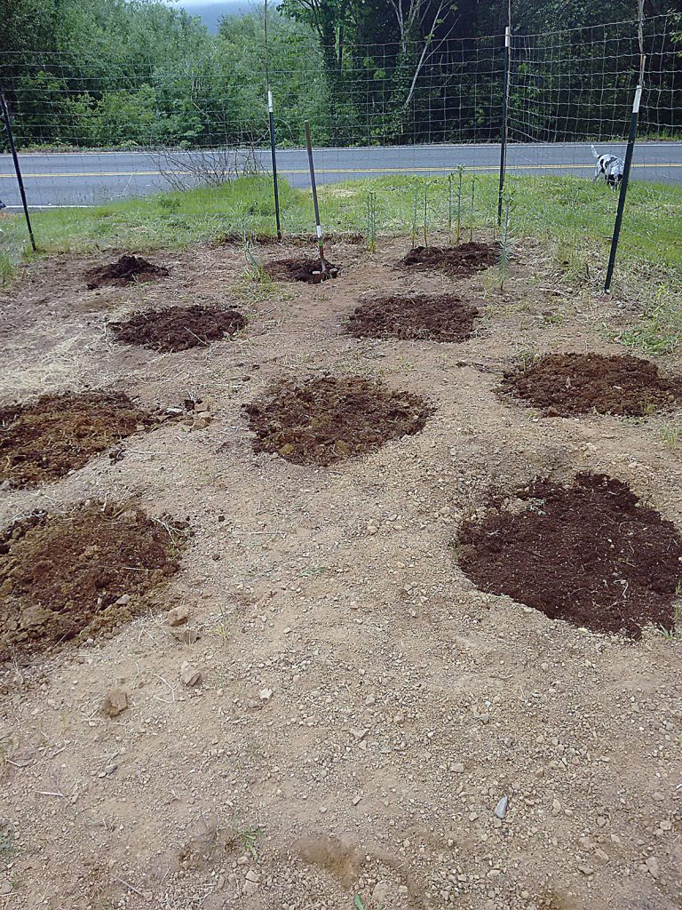 bare garden with amended soil