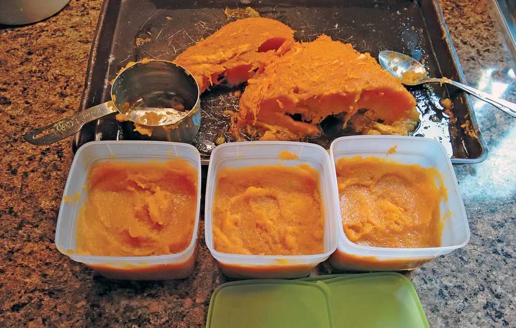 pumpkin puree in freezer containers