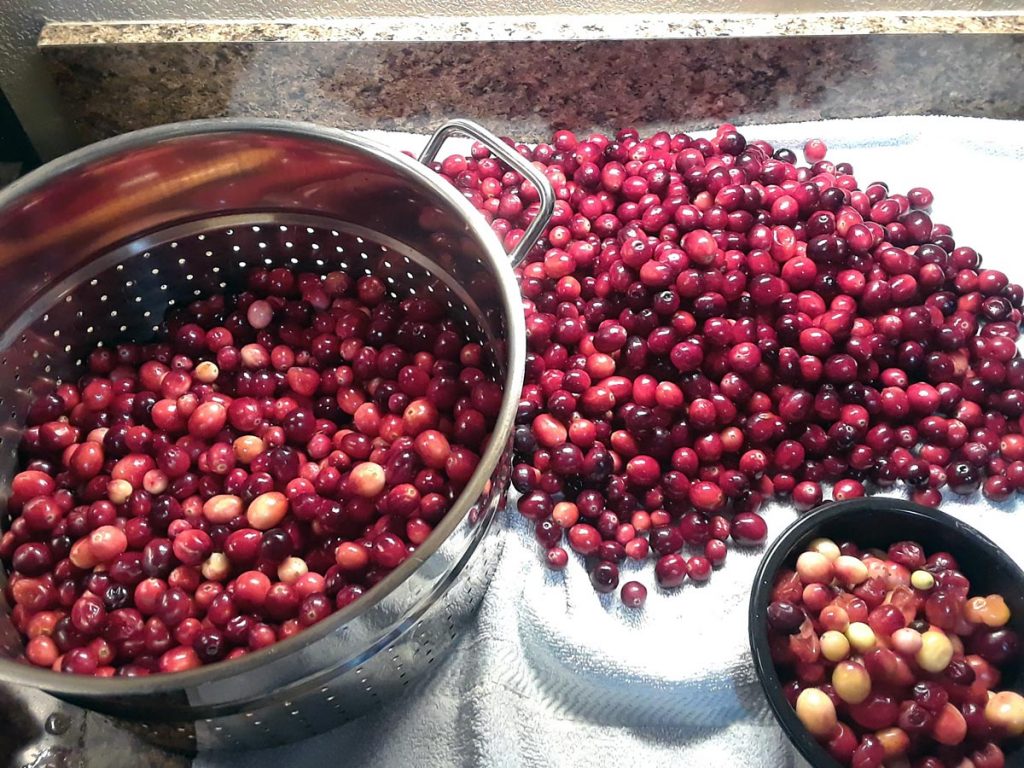 Washing cranberries