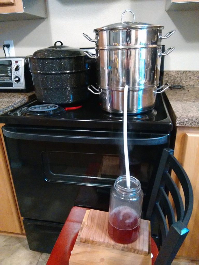 Steam juicer