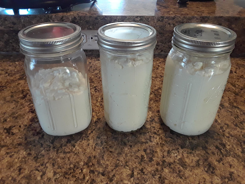 Jars of yogurt