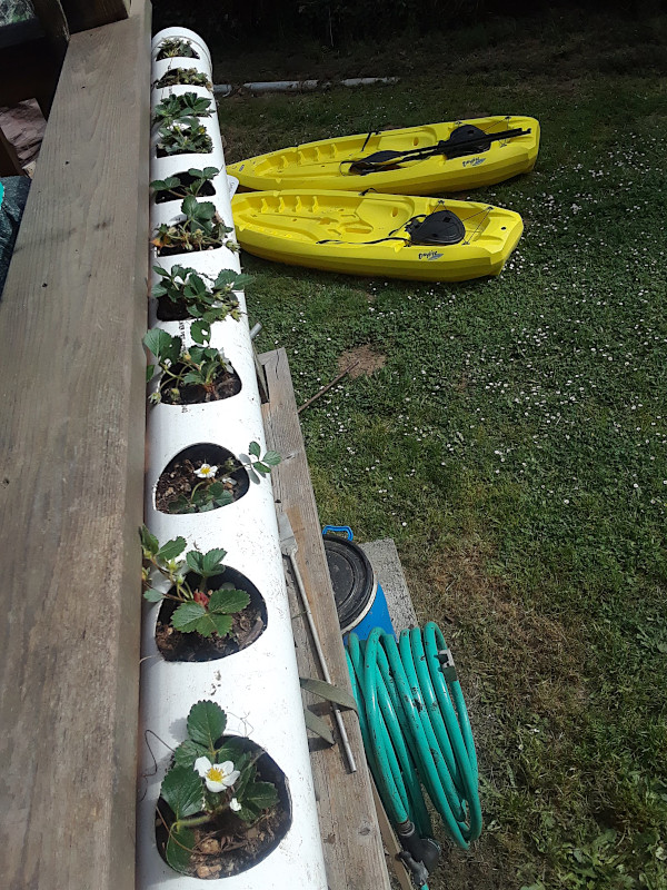 PVC strawberry planter