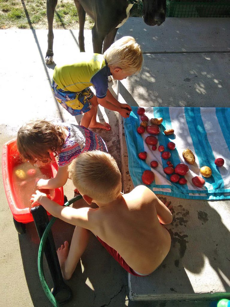 Kids washing potatoes
